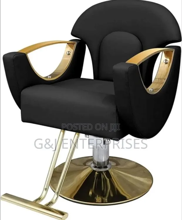Professional Adjustable Salon Chair · Photo 1