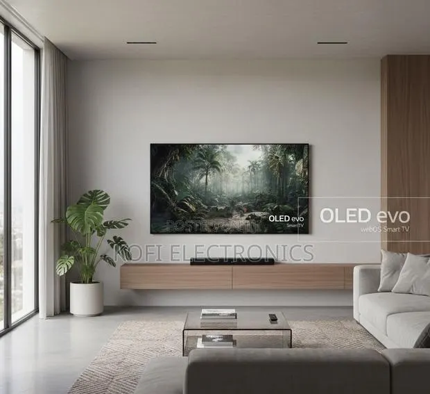 Lg Oled 55 C5 Television Gallery-Style Oled Screen · Photo 1