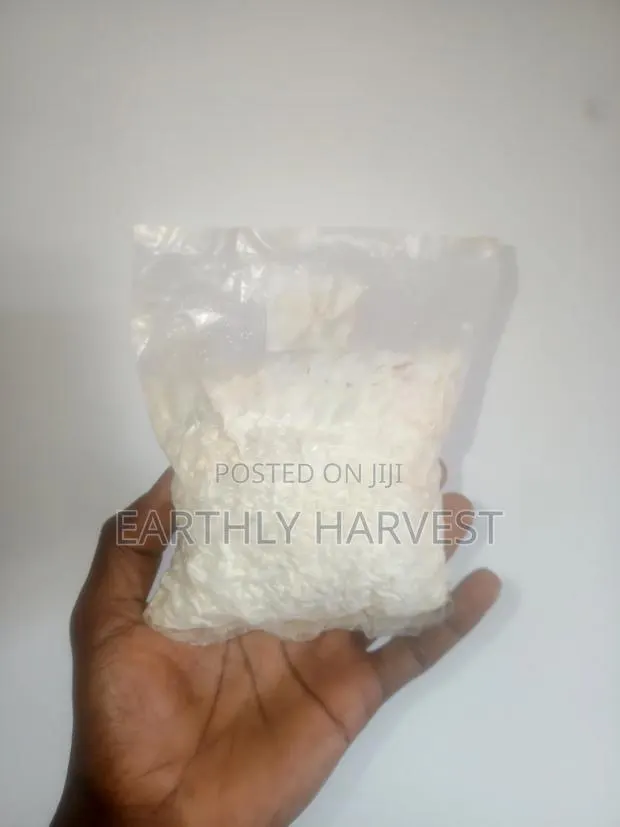 Oyster Mushroom Spawn Seed · Photo 1