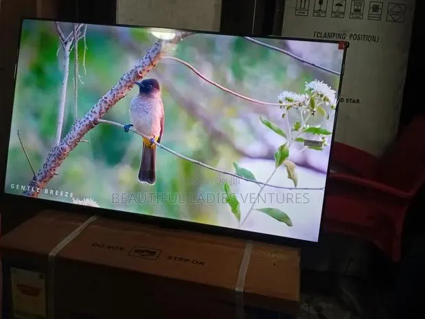 TCL 43” Smart Tv – Vibrant Colors Smooth Performance · Photo 1