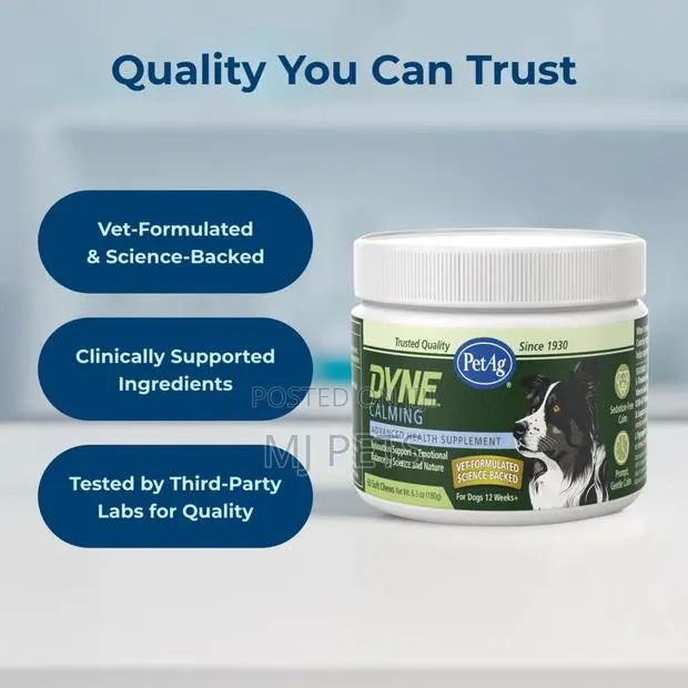 DYNE Calming Soft Chews · Photo 1