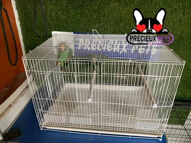 White Jardine Cage for Parrots · Photo 1