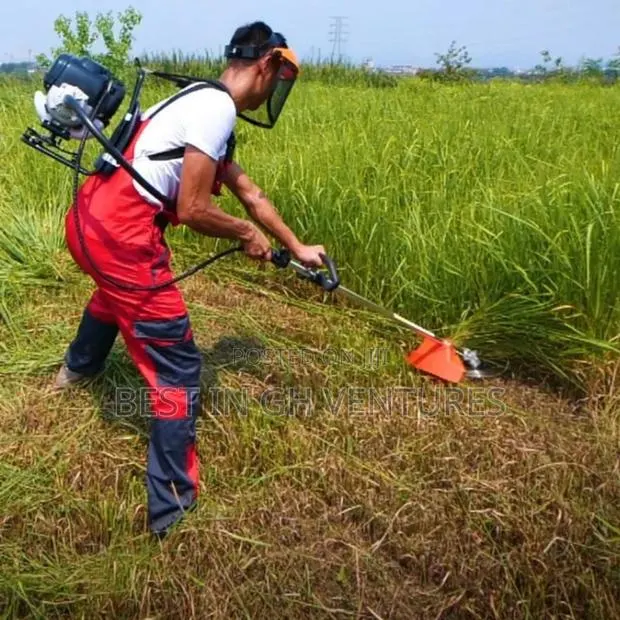 High Quality 4 Stroke Weeder · Photo 1