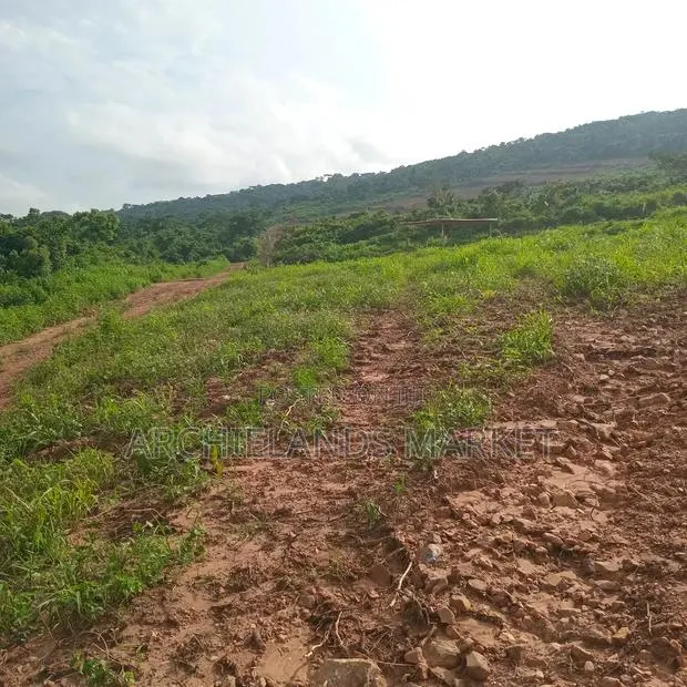 Land Available at Adamrobe · Photo 1