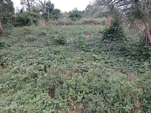 2 Plots of Land for Sale · Photo 1