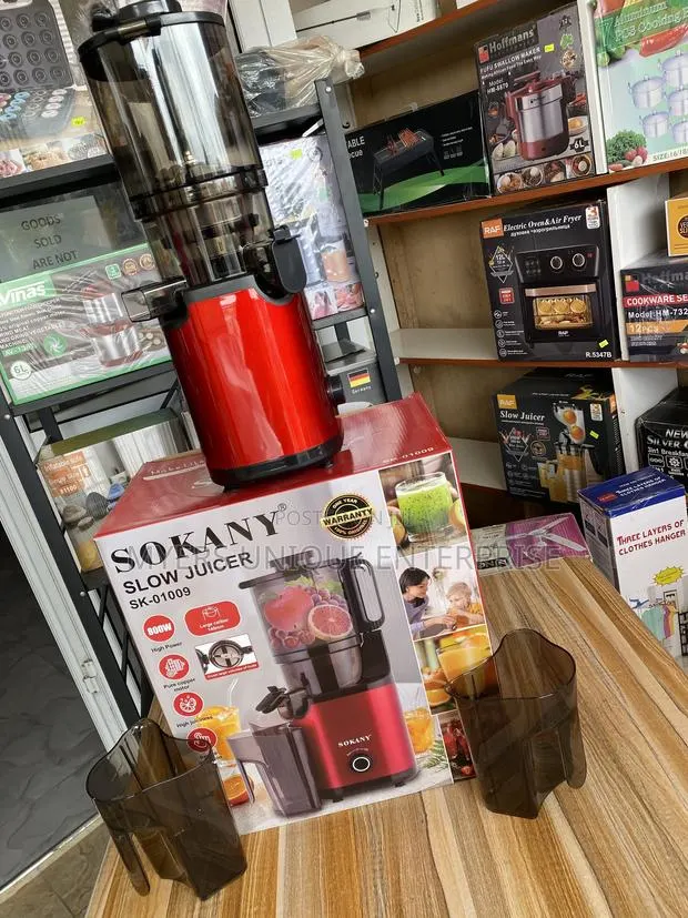 800W Slow Juicer Machine - High Power Copper Motor · Photo 1