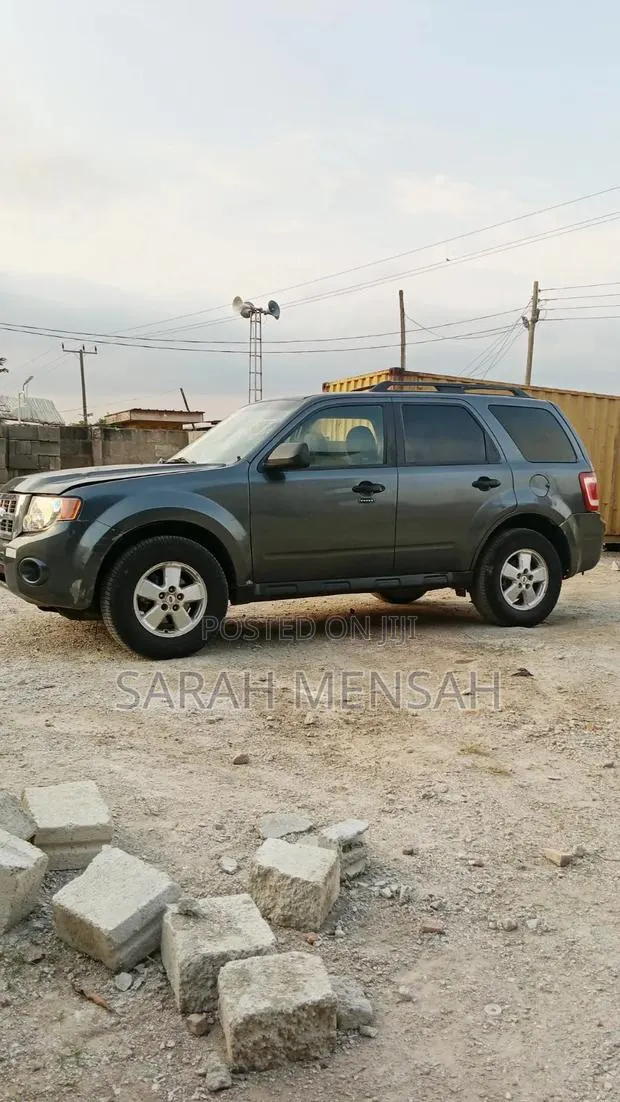 Ford Escape 2017 Gray · Photo 1