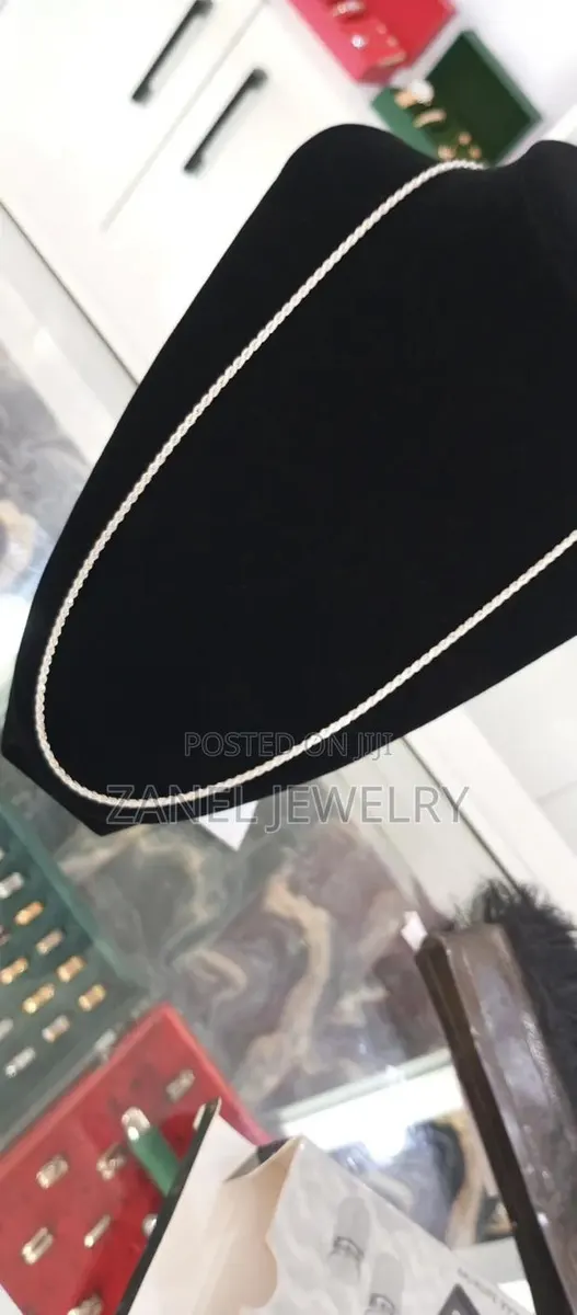 Pure Silver Twist Necklace · Photo 1