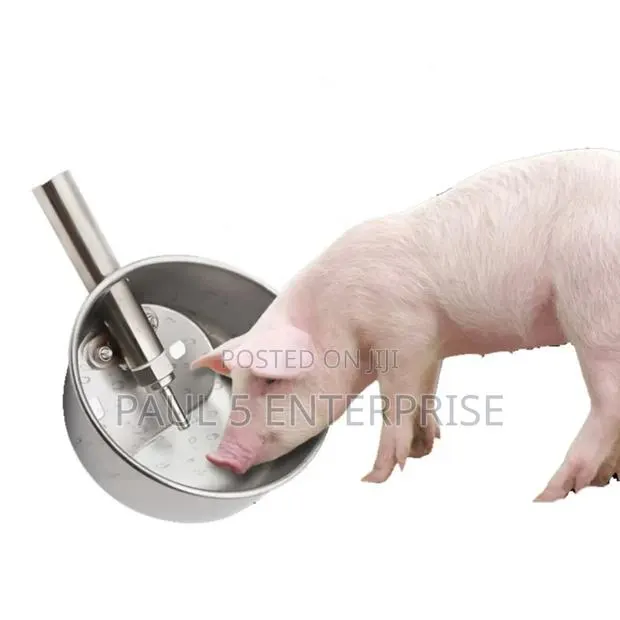 Piglet and Adult Pig Drinking Bowl · Photo 1