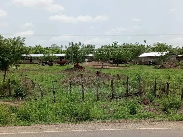 Poultry/ Goat/ Piggery · Photo 3