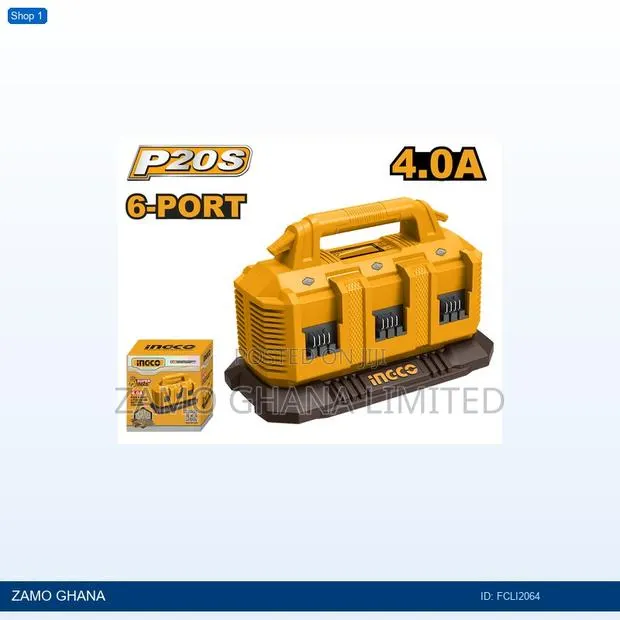 P20s Battery Charger - Fcli2064 · Photo 1