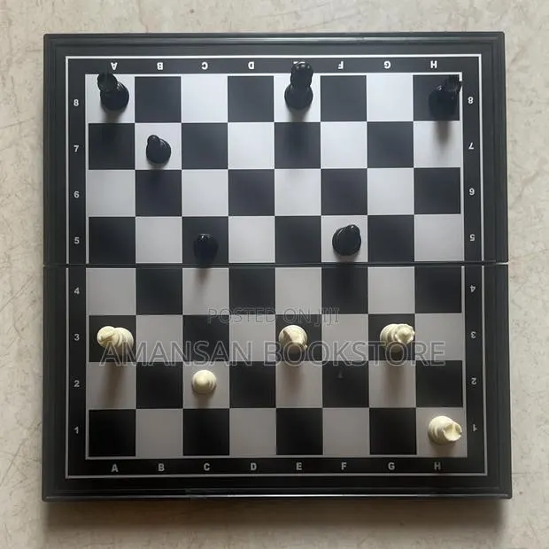 Magnetic Chess Set · Photo 1