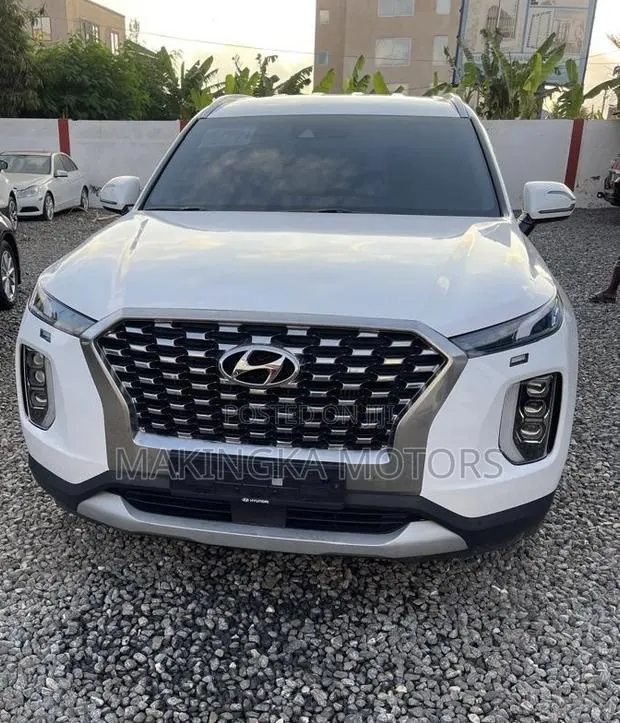 Hyundai Palisade Calligraphy 2021 White · Photo 1