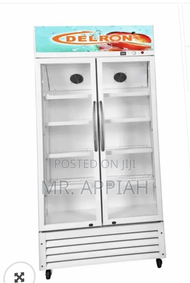 Quality Yet Affordable Delron 553liters 2 Door Electric Display Fridge · Photo 1