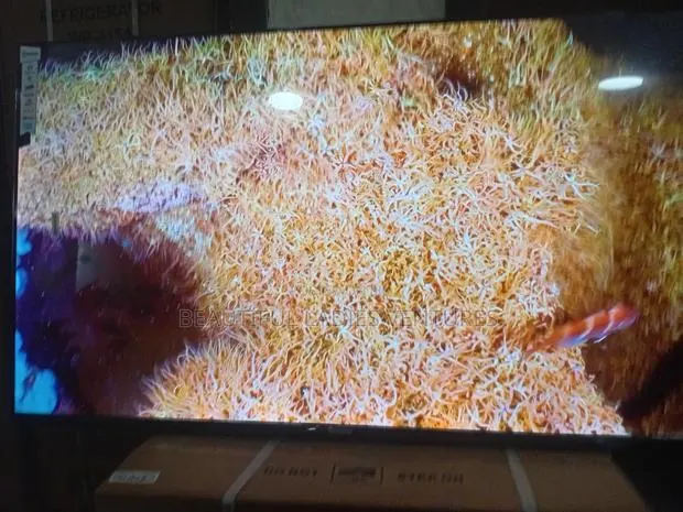 Sigma 55-Inch Tv – Enjoy Every Detail · Photo 1