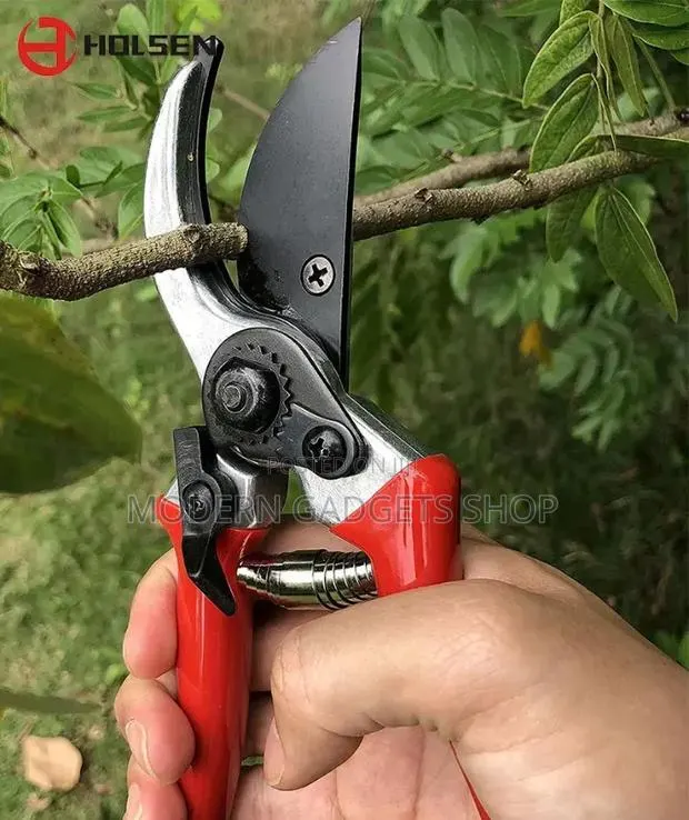Garden Pruning Shears · Photo 1