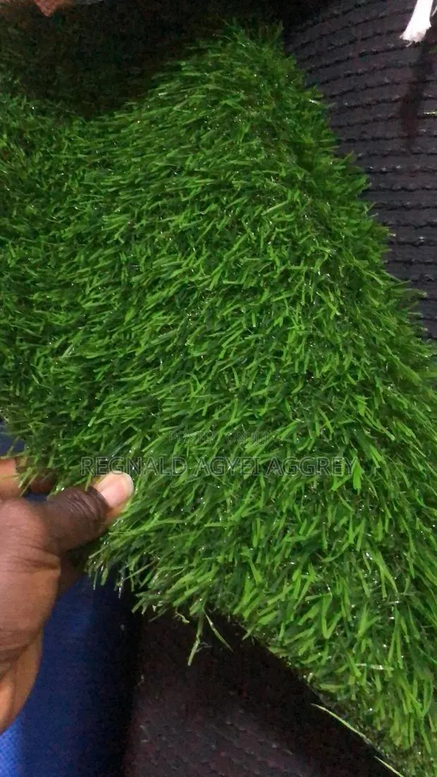 Grass Carpet · Photo 1