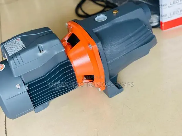Made to Last Leo Ajm150l - 2hp Water Pump · Photo 1