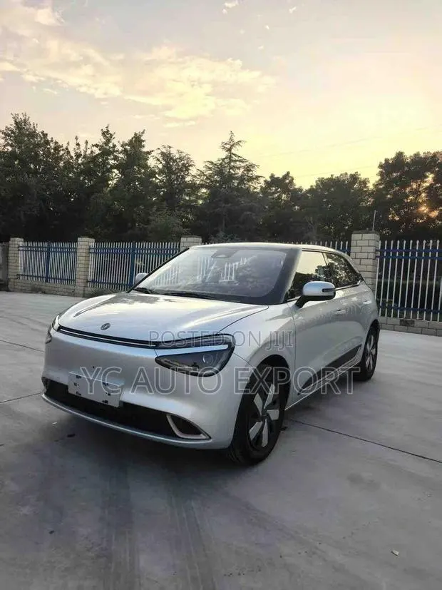 Dongfeng Nammi 01 42.3 kWh 430 Plus 2025 Silver · Photo 1
