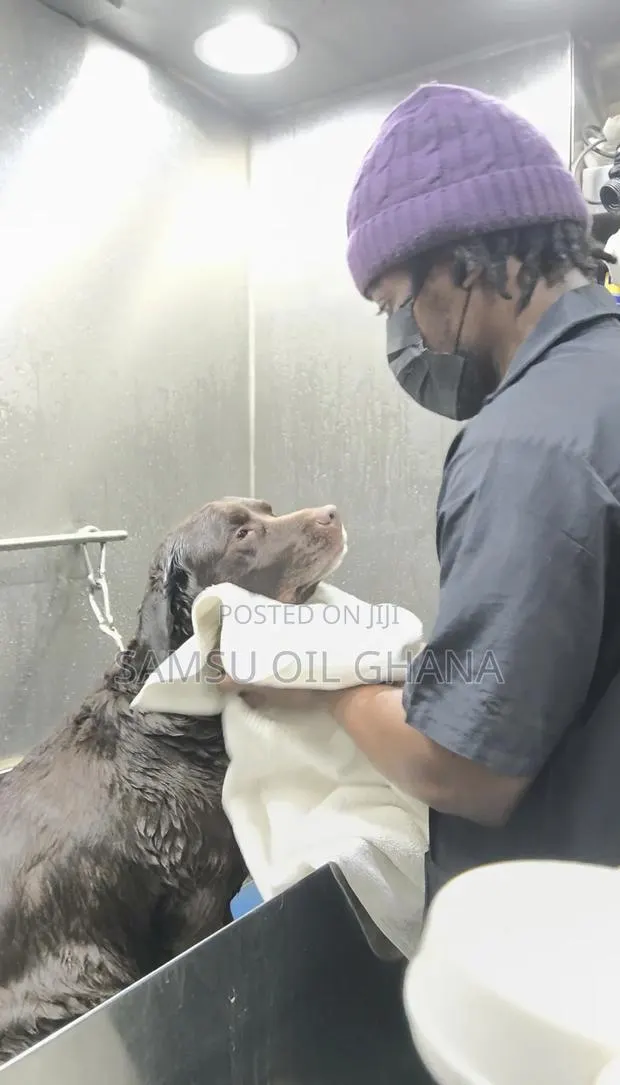 Dog and Cat Grooming Salon in Accra Ghana