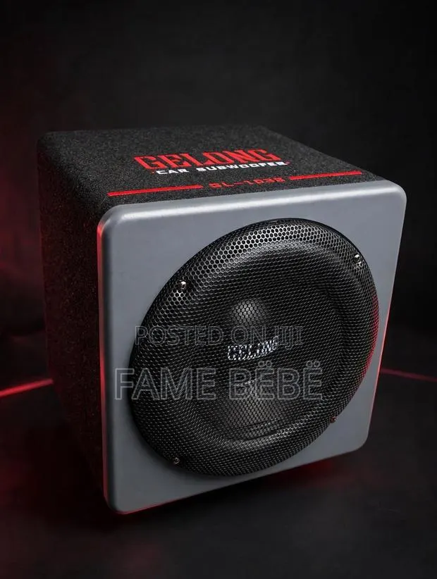 Gelong Gl-1038: Subwoofer · Photo 1