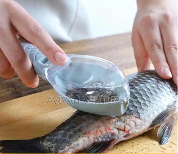 Fish Scraper · Photo 1