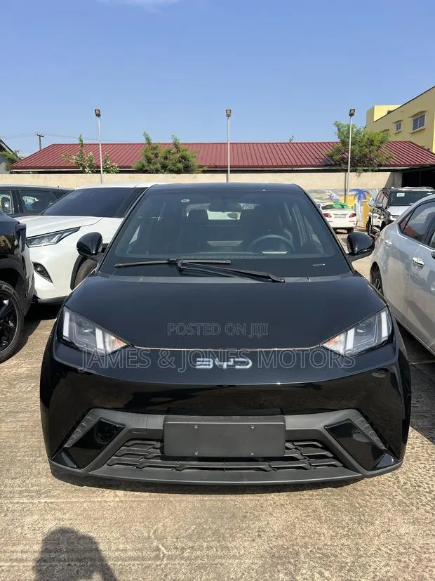 New BYD Seagull 2025 Black · Photo 1