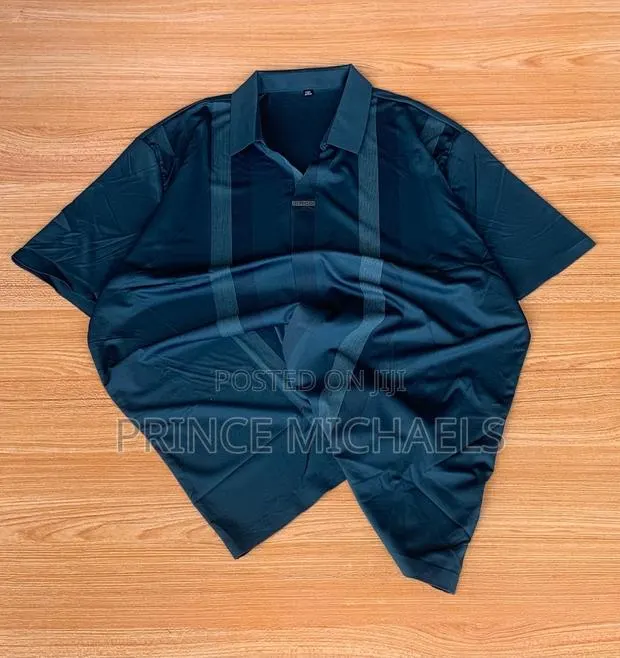 Original Lacoste and Polo Tops · Photo 1