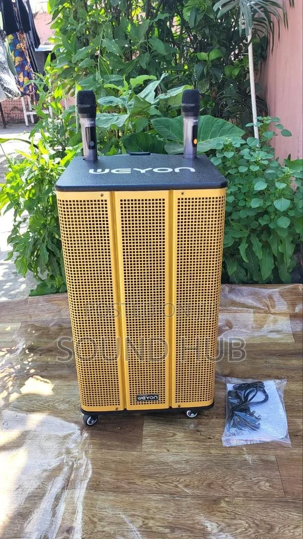 Professional 15'' Trolley Speaker With 2 Microphones · Photo 1