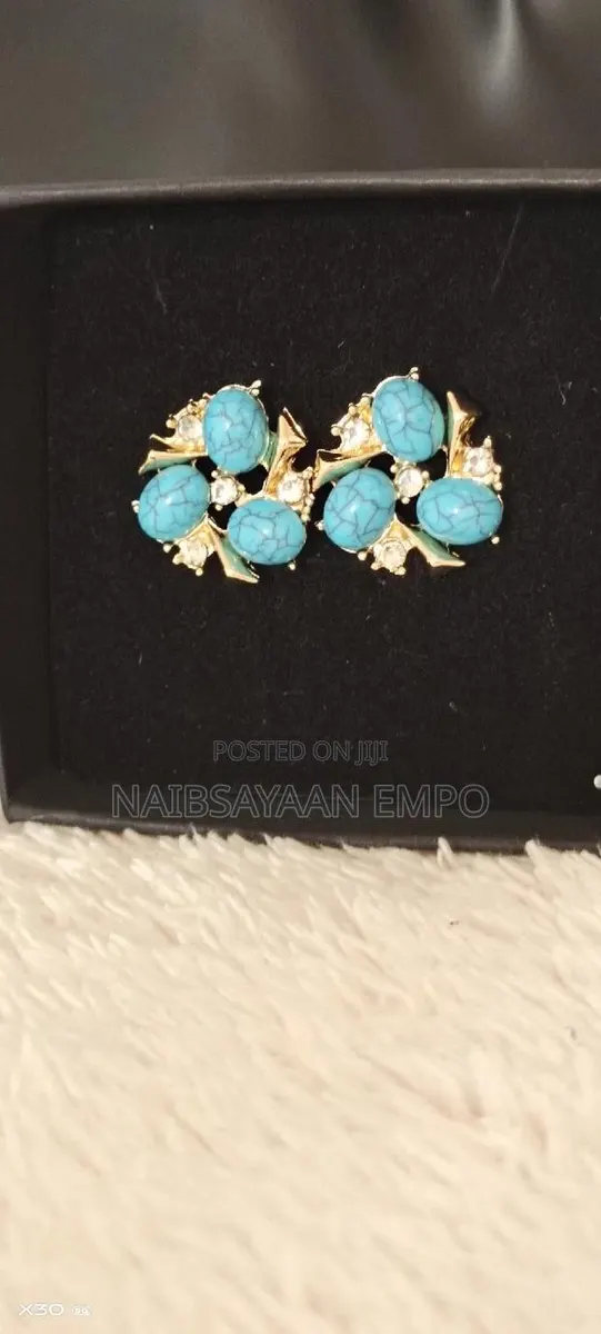 Inlaid Zircon Bue Resin Ear Jewelry · Photo 1