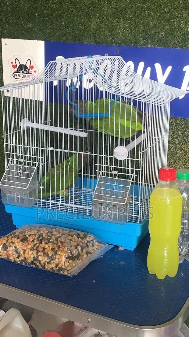 Bird Pets Full Package at Precieux-Pets · Photo 1