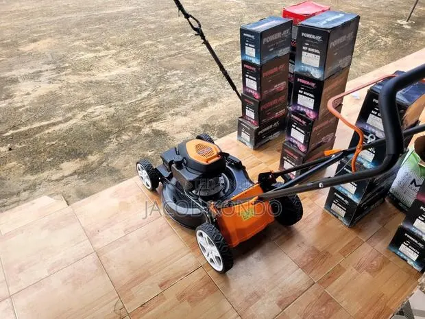 Gasoline 5hp Lawnmower · Photo 1
