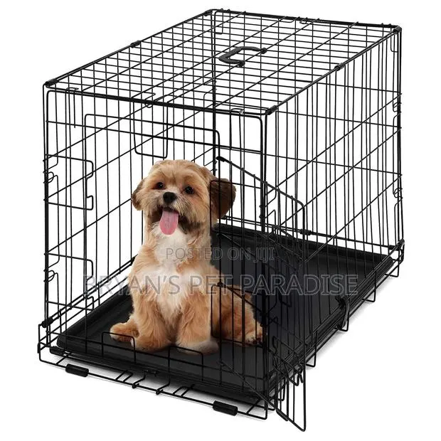 Medium Size Poodle Cages Available · Photo 1