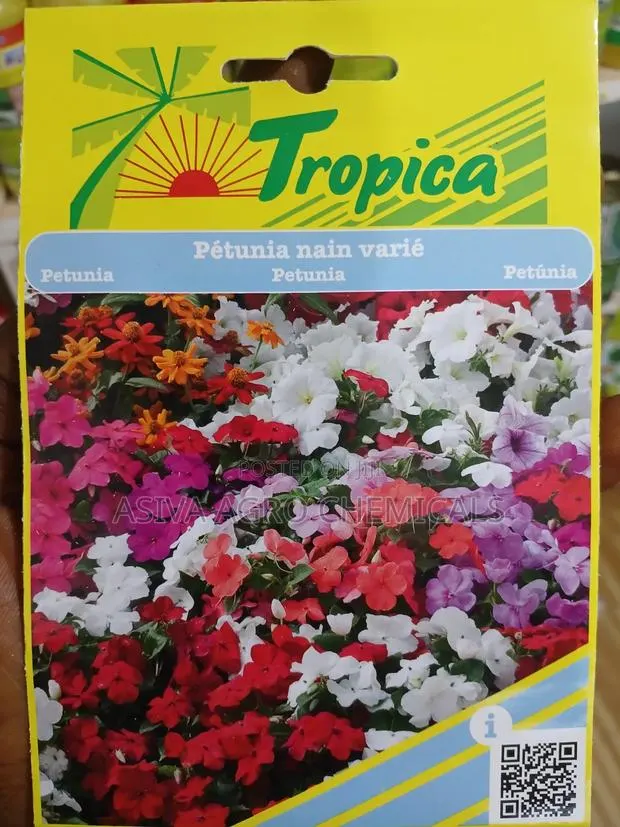 Petunia Flower Seeds · Photo 1