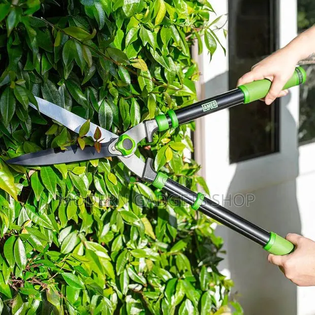 Long Handle Hedge Trimmer Garden Pruning Shears · Photo 1