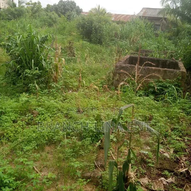 A Plot of Land · Photo 1