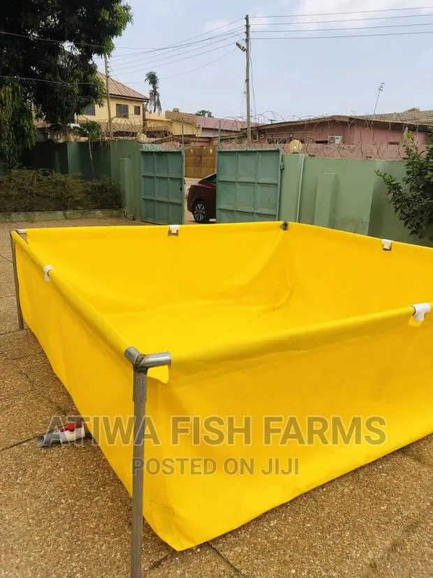 Tarpaulin Fish Tank · Photo 1