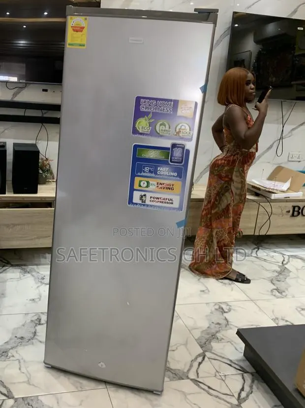 Premium Fast Nasco NASD1-33 242-Liter Upright Standing Freezer · Photo 1