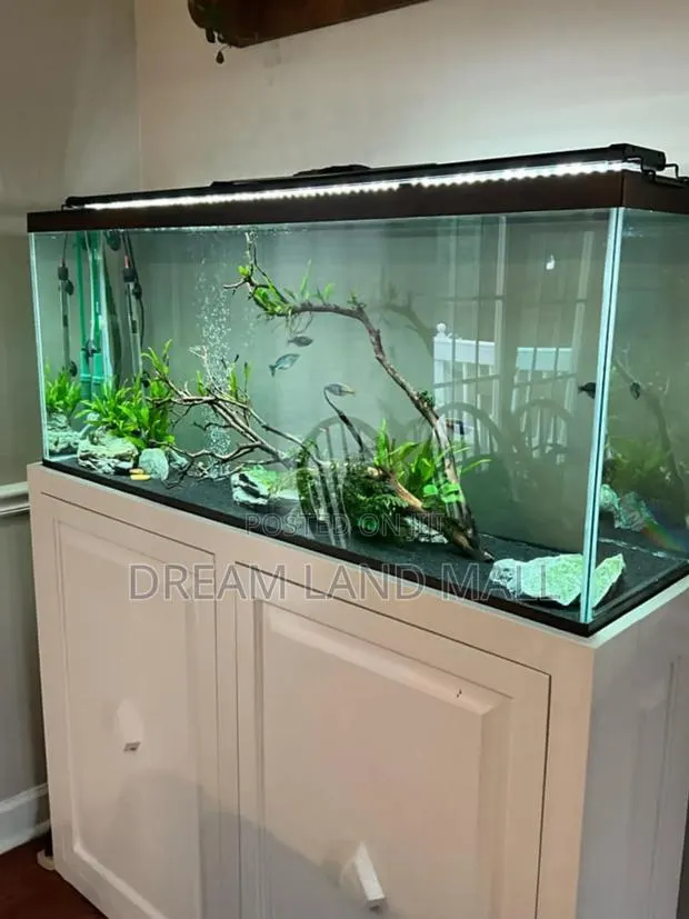 Classic Customized Aquarium With Light · Photo 1