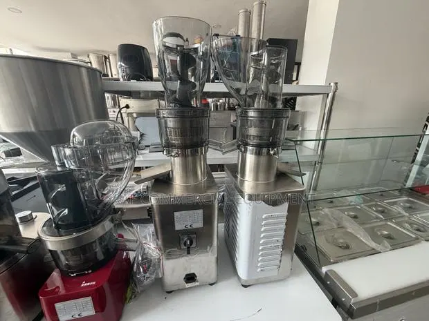 Commercial Full Stainless Steel Slow Juicer 1200W · Photo 1