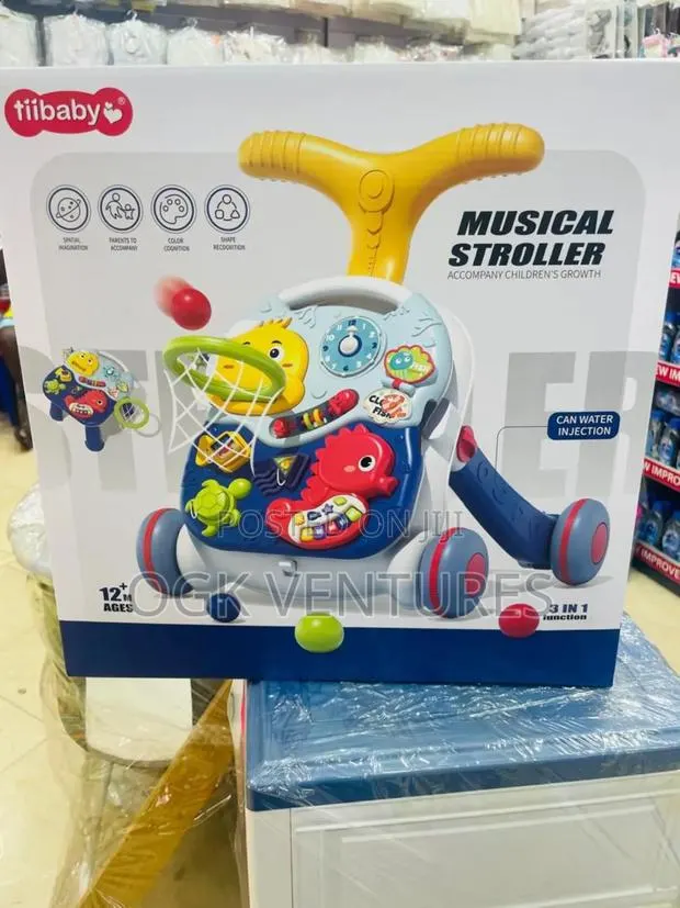 Multifunctional Baby Push Walker · Photo 1