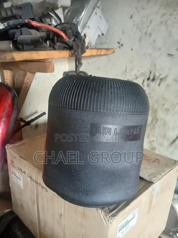 Bus Air Suspension Bag (Air Lotah) · Photo 1