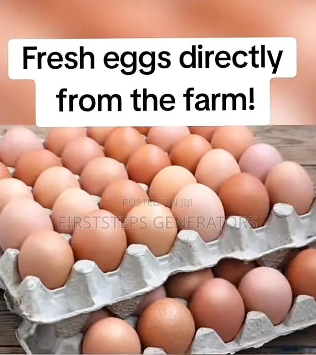 Yellow Yolk Fresh Farm Eggs at Wholesale Eggs Price Pokuase · Photo 1
