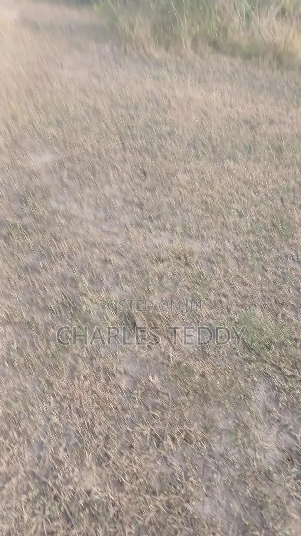 Documented Land for Sale · Photo 1