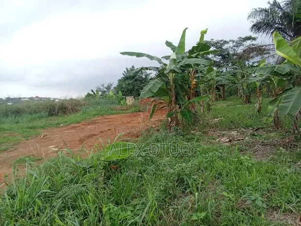 Plot of Land Asuofua Asaaman · Photo 4