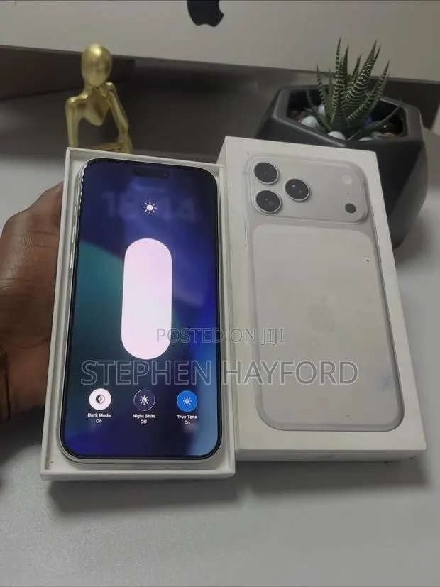Apple iPhone 17 Pro Max 1 TB Silver · Photo 1