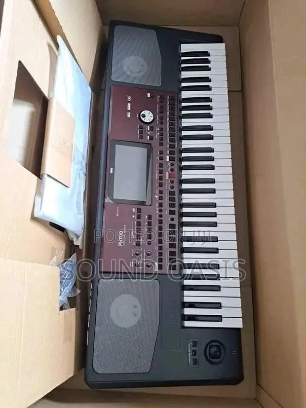 Korg PA 700 61-Key Arranger Keyboard · Photo 1