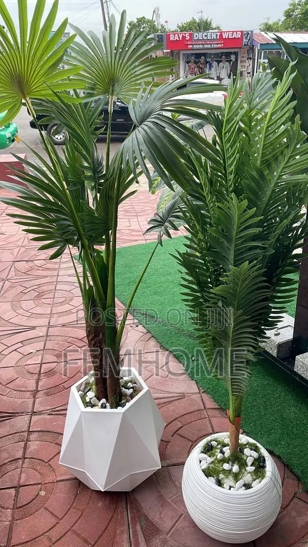 Beautiful Plants · Photo 1