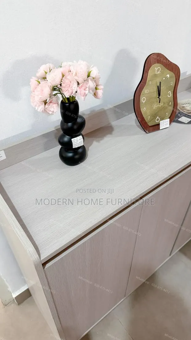 Modern Imported Shoe Cabinet · Photo 6