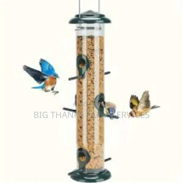 Bird Feeders · Photo 1